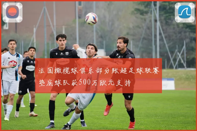 法国橄榄球俱乐部分账超足球联赛垫底球队获500万欧元支持
