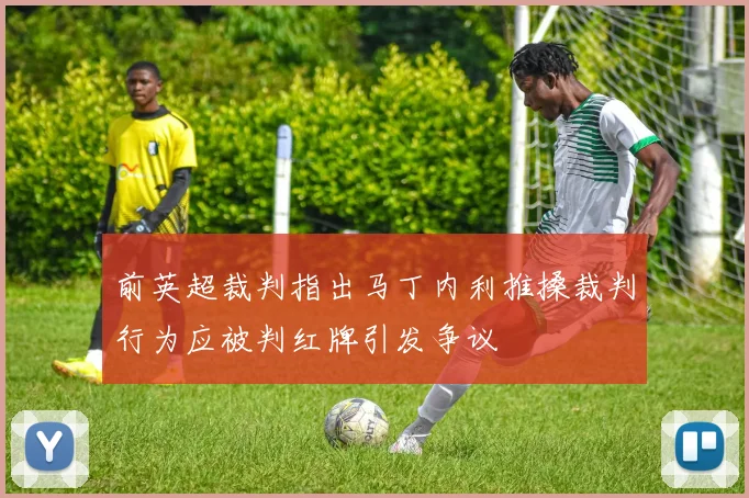 前英超裁判指出马丁内利推搡裁判行为应被判红牌引发争议
