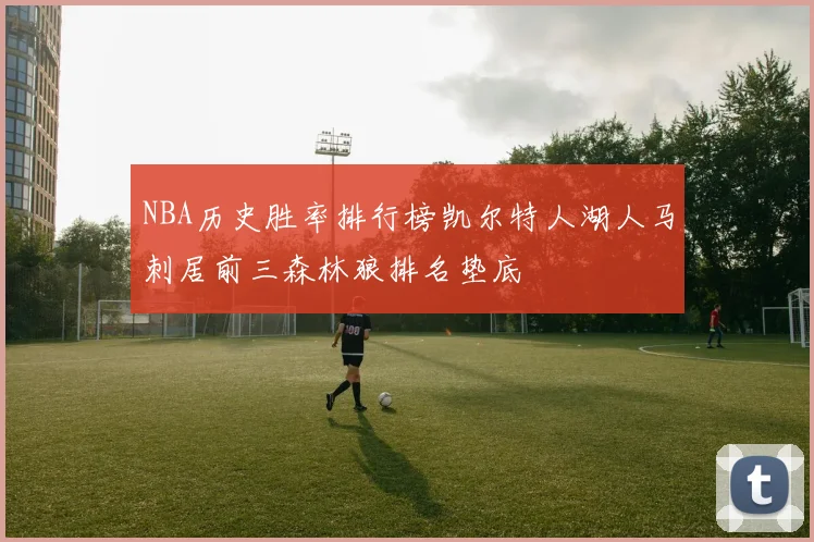 NBA历史胜率排行榜凯尔特人湖人马刺居前三森林狼排名垫底